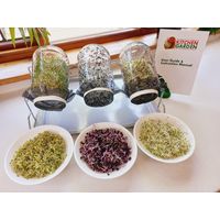 Kitchen Garden 3L Sprouting Kit
